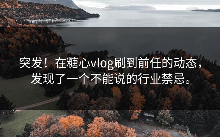突发！在糖心vlog刷到前任的动态，发现了一个不能说的行业禁忌。