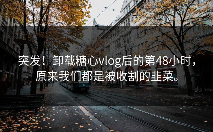突发！卸载糖心vlog后的第48小时，原来我们都是被收割的韭菜。
